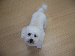 2012-10-05 16.28.47.jpg
